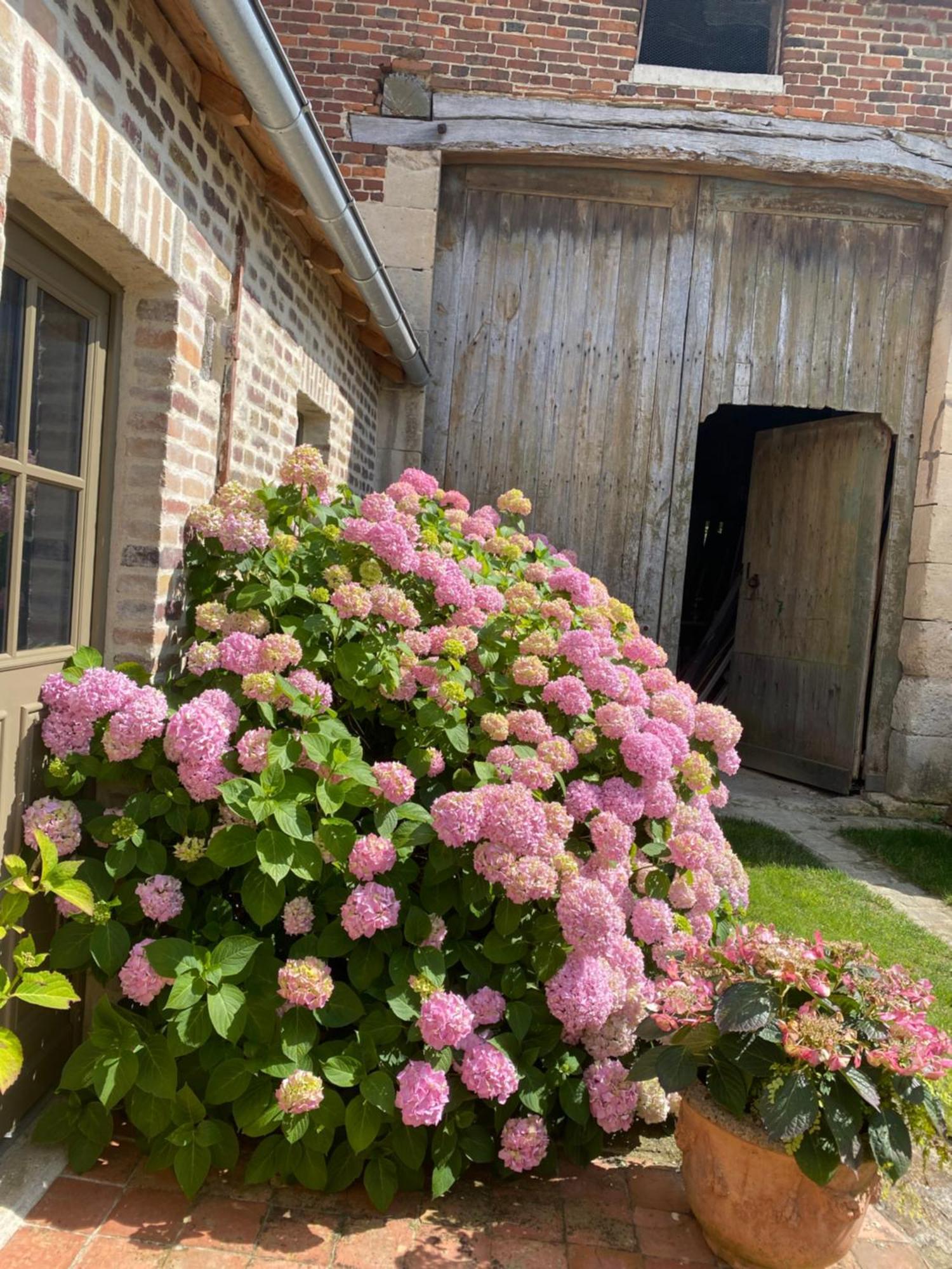 Les Hortensias Canly ภายนอก รูปภาพ